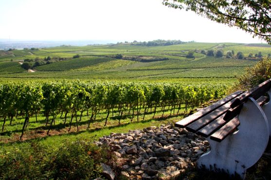 Blick in Rheinhessische Schweiz