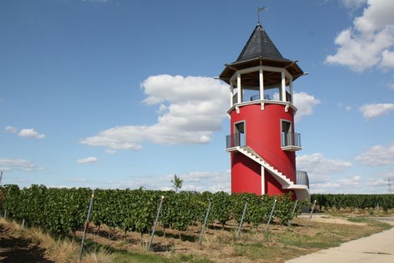Burgunderturm Wörrstadt