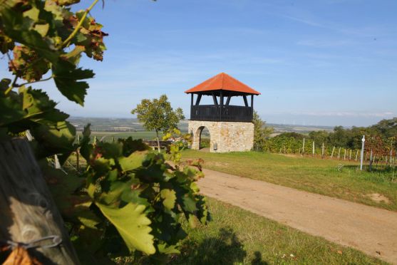 Aussicht Aulheimer Tal