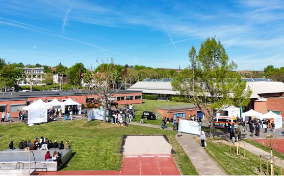 Foto: Alexander Sell / WfG Alzey-Worms